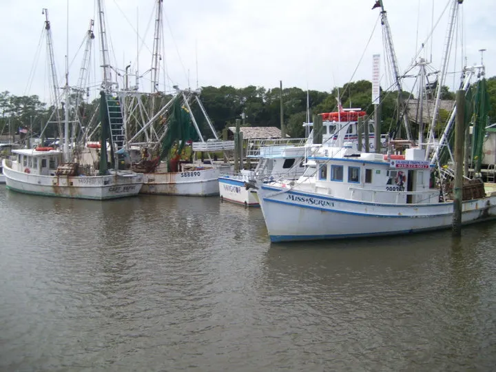 Shrimp boats tied up on the Calabash River